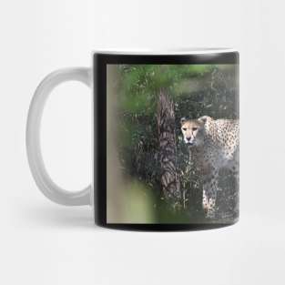 Cheetah in Bush Mug